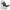 gid://shopify/Product/9880205295944_1
