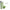 gid://shopify/Product/9874359779656_1