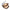 gid://shopify/Product/9874463621448_1