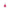 gid://shopify/Product/9874555797832_1