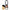 gid://shopify/Product/9874447368520_1