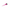 PENNELLESSA TEKNO FUCHSIA